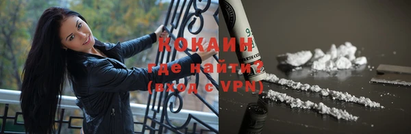 мдпв Елизово