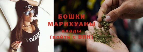 ПСИЛОЦИБИНОВЫЕ ГРИБЫ Заводоуковск