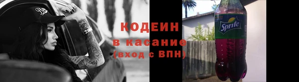 мдпв Елизово