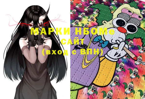 мдпв Елизово