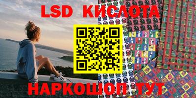 мяу мяу мука Краснознаменск