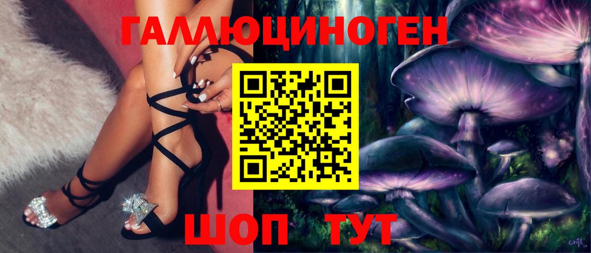 Галлюциногенные грибы Psilocybine cubensis  Псилоцибиновые грибы прущие грибы  Избербаш  Вход с VPN 