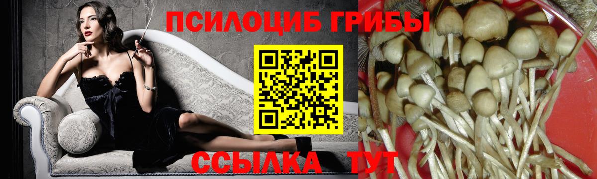 Галлюциногенные грибы мухоморы  Избербаш 