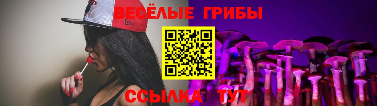 Галлюциногенные грибы Psilocybine cubensis Избербаш